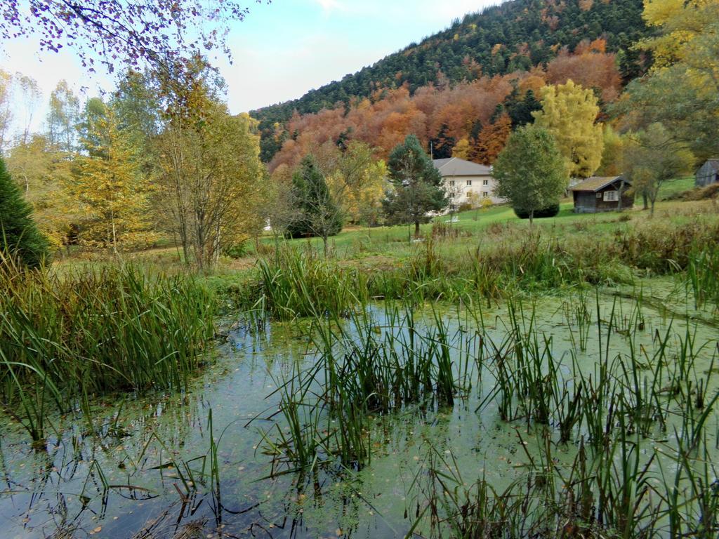 Hotel-Spa & Restaurant Logis Domaine Langmatt Murbach Exterior photo